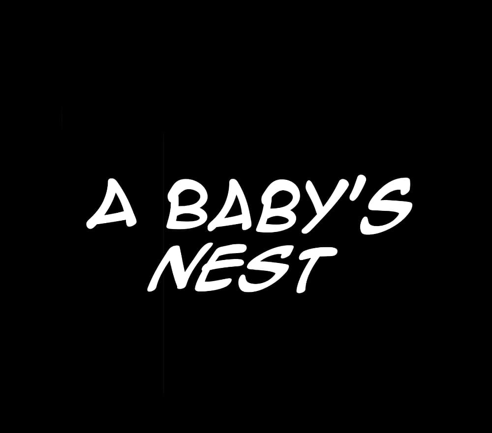 A Babyโ€s Nest 14 (3)